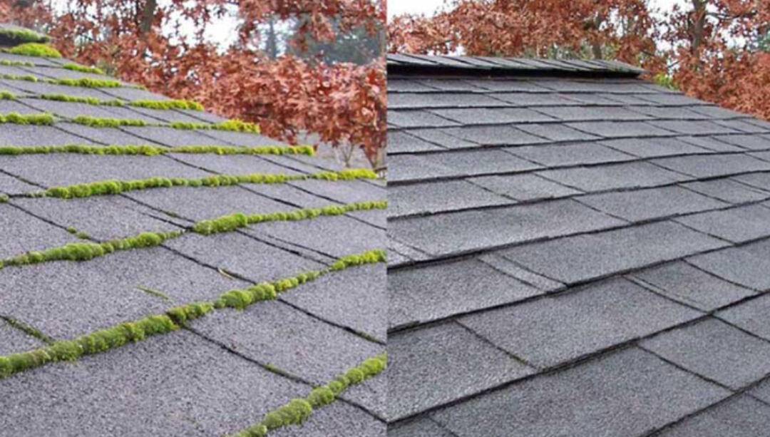 Roof & Surface Care Dorset, UK