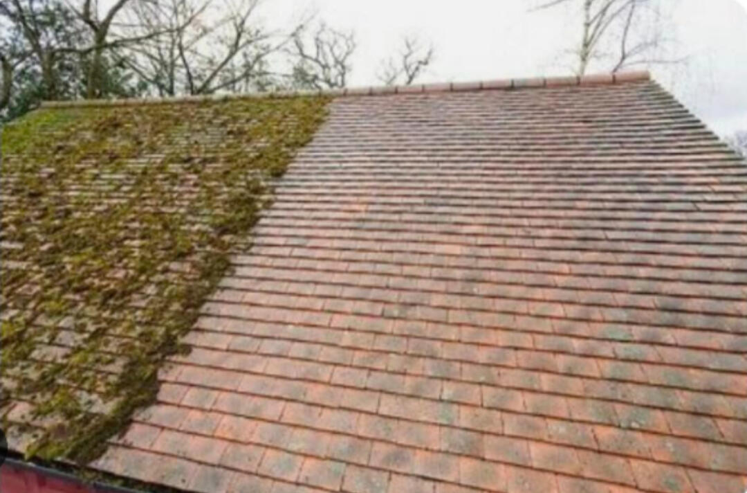 Roof & Surface Care Dorset, UK