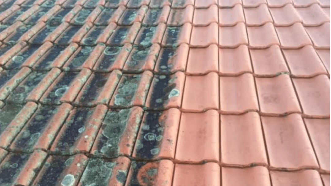 Roof & Surface Care Dorset, UK Roof & Surface Care Dorset, UK