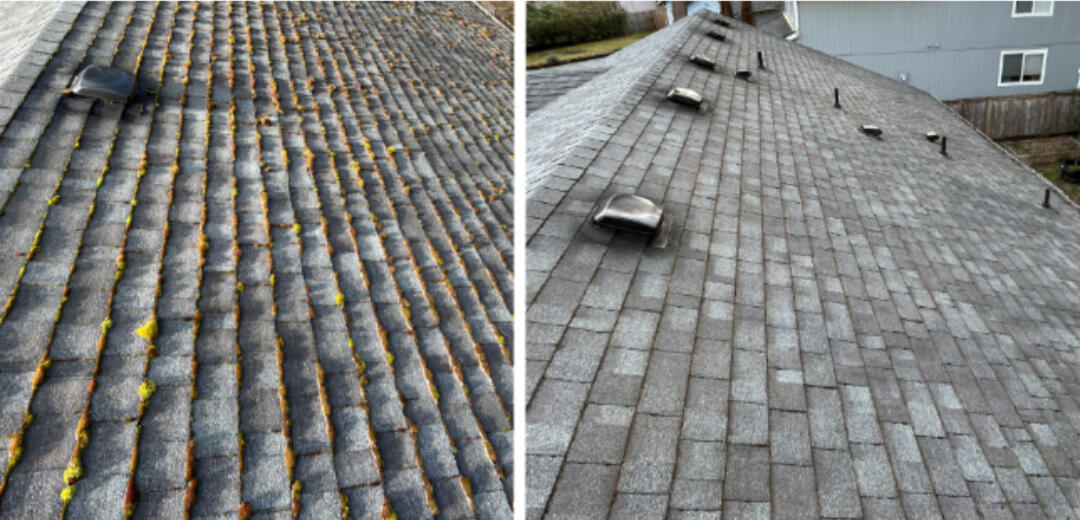 Roof & Surface Care Dorset, UK Roof & Surface Care Dorset, UK